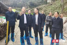张家界：闫瑞增赴九姆山跑山黑猪养殖基地调研图片