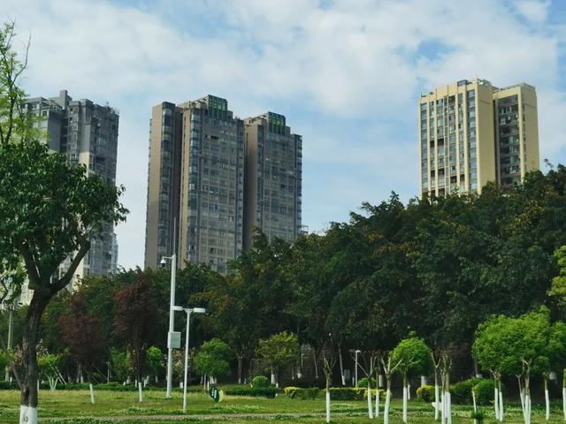 乐游绵阳 清凉一夏 ‖ 三台清凉避暑好去处推荐系列，滨江足球广场：活力一夏，畅玩绿茵间
