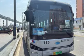 空轨漫步、东湖赏樱，武汉上新6条公交“假日文旅专线”直达景点图片