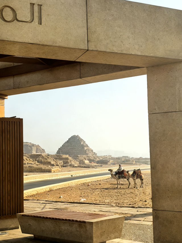 晚潮｜吉萨平原上的背影