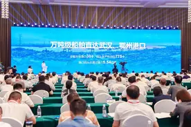湖北正在着力打造“空中出海口”图片