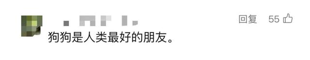 唏嘘！55岁资深男演员被发现在家中去世，多日无人察觉！曾出演多部经典作品