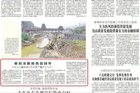 麻阳冰糖橙热销国外 今年出口量有望占到全县产量的五分之一图片