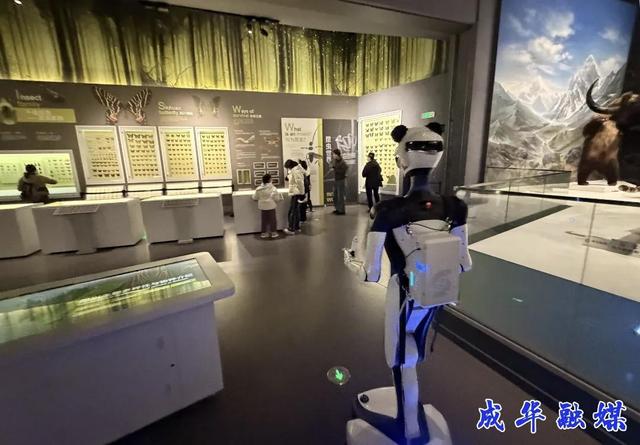 成都自然博物馆来了位“新导游”：掌握98种语言，还能模仿动物的声音、动作……