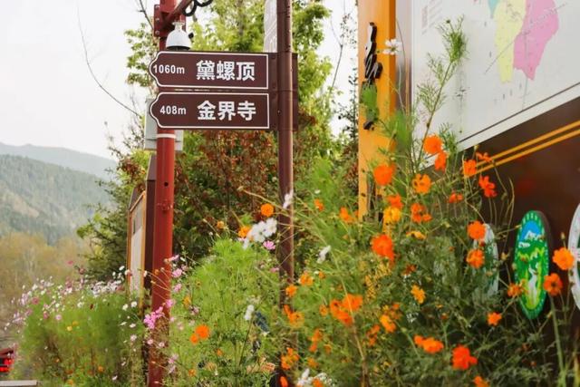 秋日寻芳何处去？五台山等你