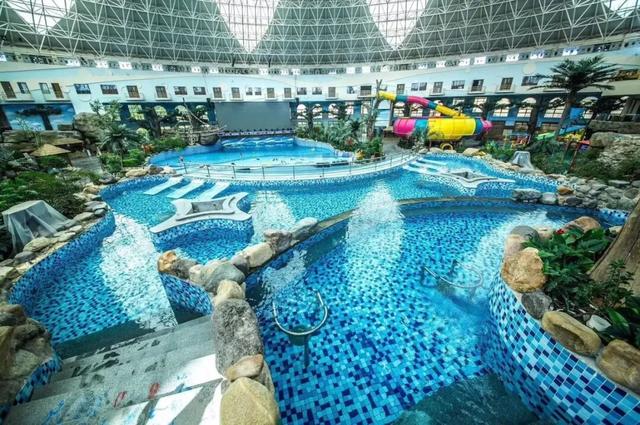 赴一场冬日精灵之约！三门峡白天鹅观赏指南来啦→