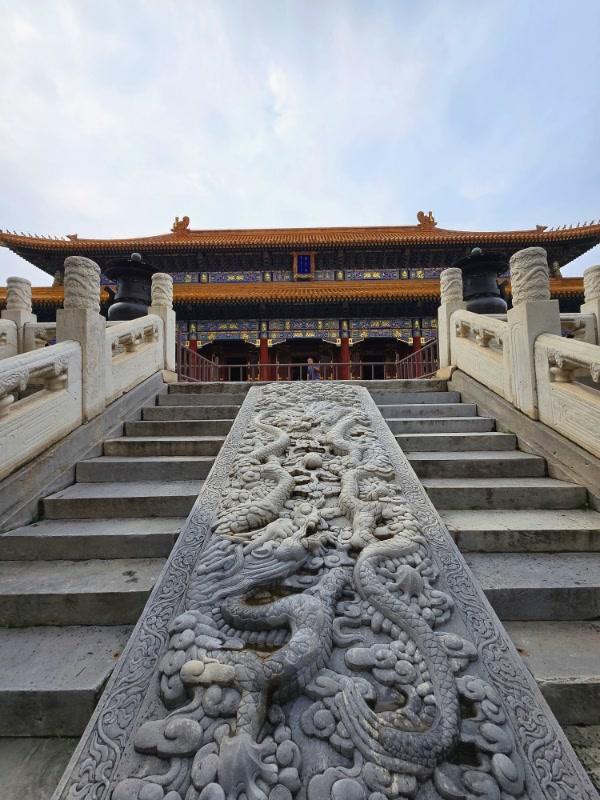 宫墙映夏花，景山公园惊鸿一瞥