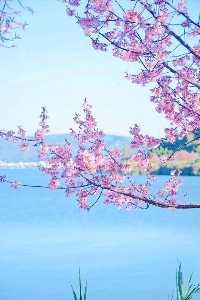 冬暖花开游云南丨红河，一场不期而遇的温暖邀约