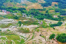 渝见好“村”光 | 梯田织锦：酉阳县花田乡何家岩村图片