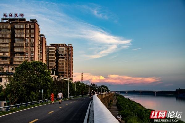 安乡书院洲：把时光慢放的傍晚湿地