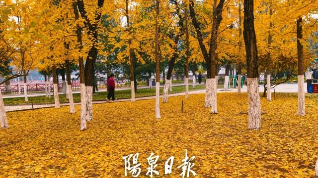 打卡指南！阳泉这些公园美成童话世界！