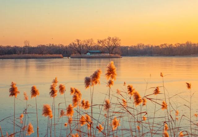 品，乾隆笔下的御园冬景