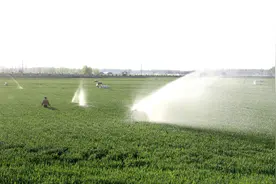 抗旱浇麦进行时｜河南各地全力抗旱助丰收图片