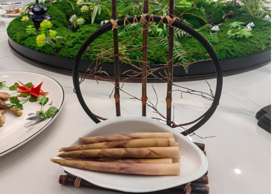 秋假宝藏打卡地｜黄坭镇“滚滚House”：带孩子开启一场竹海奇幻之旅！