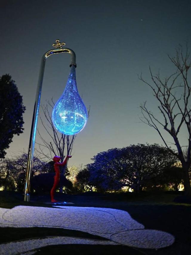 全开了！世博文化公园奇花艺境展进入最佳观赏期，开启夜游模式