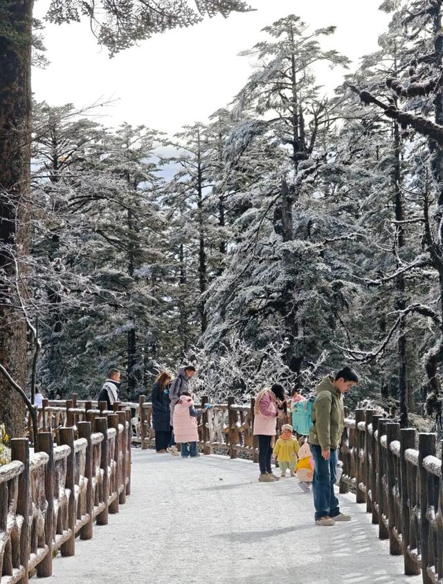 秋假封神目的地！瓦屋山飘雪啦！美到不想回家~