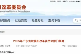 南都观察|深珠通道要来了吗？图片
