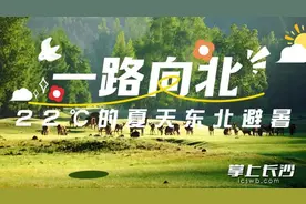 22℃的夏天！最东北的10个凉爽城市，3趟旅游专列等你出发图片