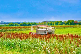 又到一年秋收时！成都环城生态区将于10月中旬完成全部采收图片