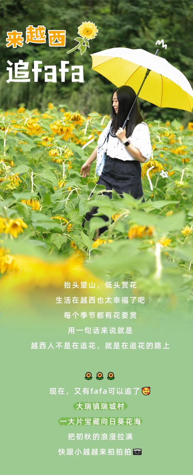 打卡攻略 | 人在越西，被这片超美的向日葵花海治愈！