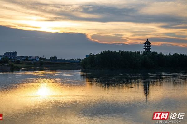 安乡书院洲：把时光慢放的傍晚湿地