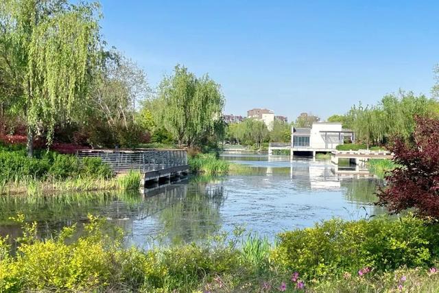 四季流转，青浦这座公园的颜值从来不掉线！