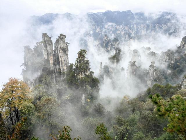 水墨画卷天子山