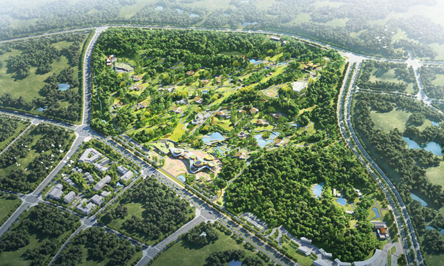 这一次，不得不去绵阳了！