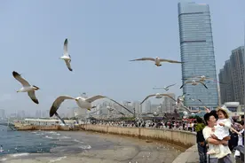 大连：亲近动物欢乐多图片
