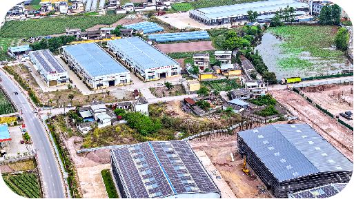 漾濞是“世界核桃起源地”！有五个维度可为证……