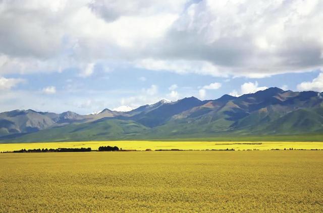 【青海之美我来拍】在山湖褶皱里，见天地辽阔