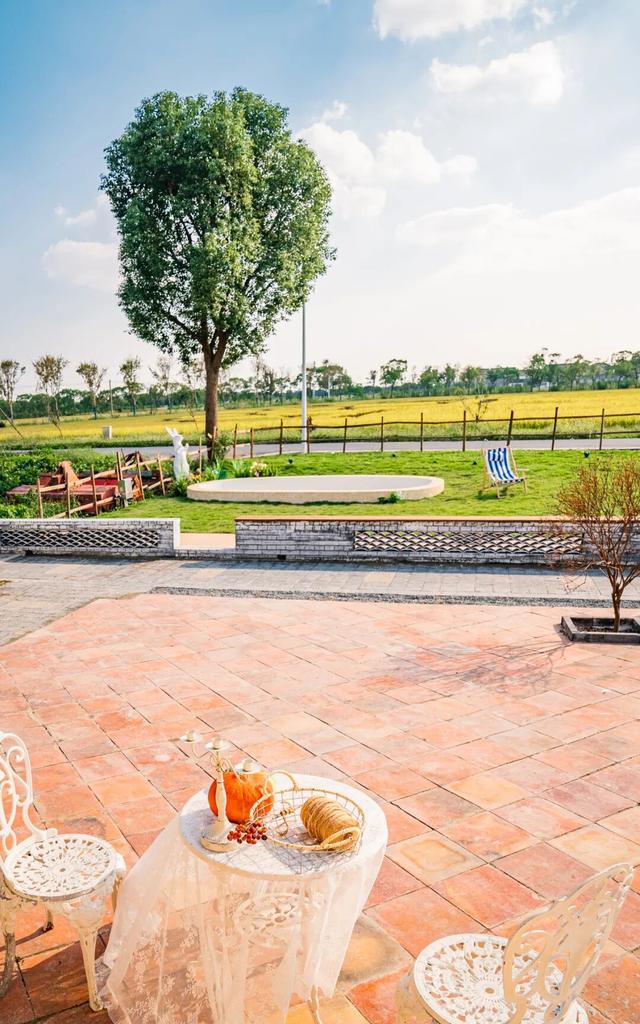 黄金稻田、绝美窗景！这个免费的爆款机位，定格上海最美秋天→