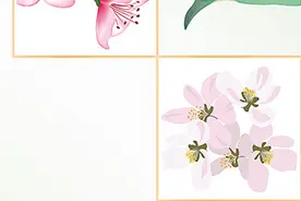 春雨为何多在夜里下（二十四节气二十四问）图片