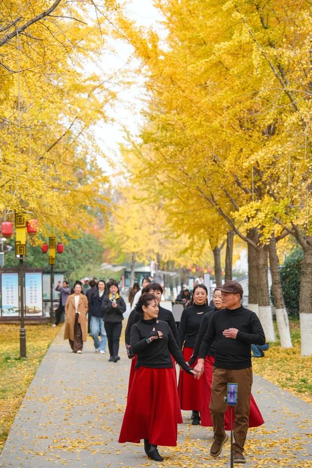 11月，是时候来一趟徐州了