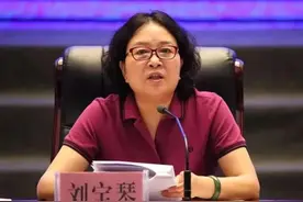 陕西省卫健委原主任刘宝琴被查图片