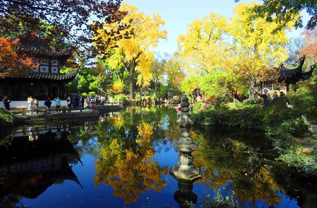 江苏苏州：游姑苏留园 赏金色银杏