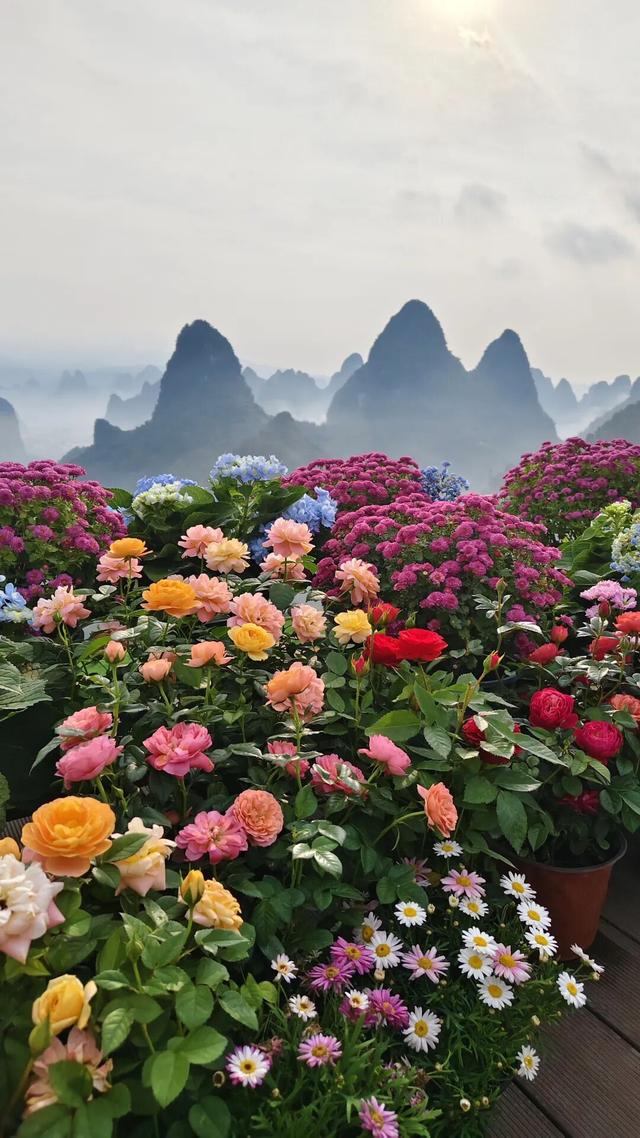 再见桂林（一）