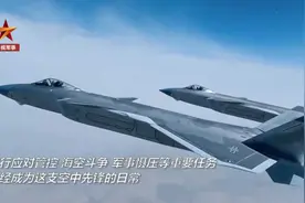 “王海大队”飞行员：当数架外机不顾我方多次警告……图片