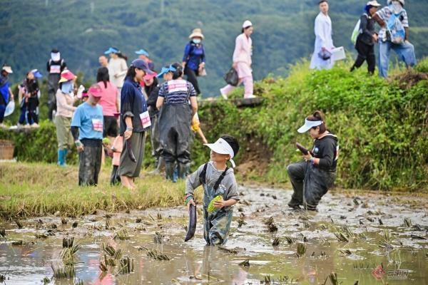 2025农民丰收节全民健身大赛云南场在元阳开幕
