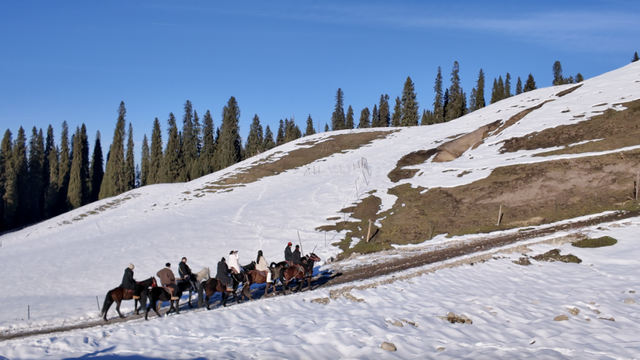 “大雪”无雪，能在雪地里撒野的大雪何时能看到？