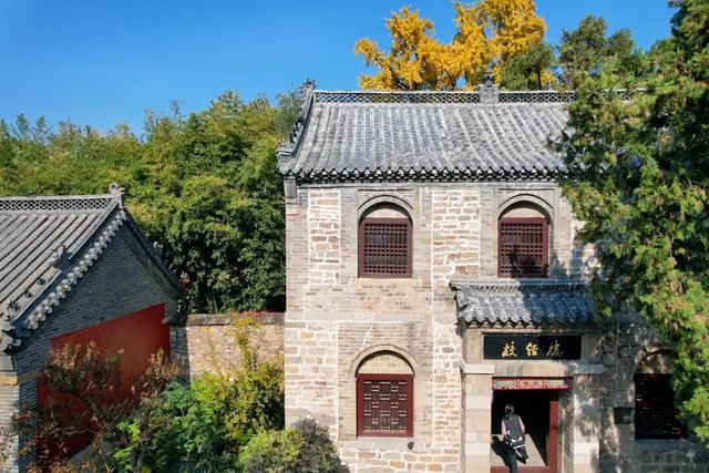 千年莒县银杏树！这一眼惊艳时光，高清大图超治愈