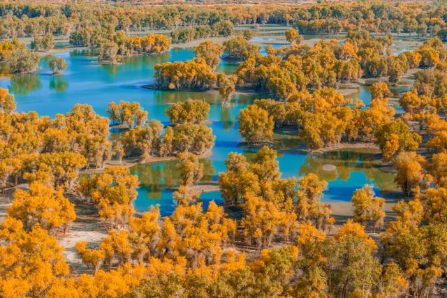 11月最应该去哪里旅行？