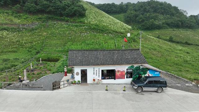 长阳“云中凉都”火烧坪：高山“凉资源”催生避暑“热经济”