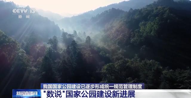 生命摇篮、绿色肺叶……万米高空看“大美国家公园”有啥亮点