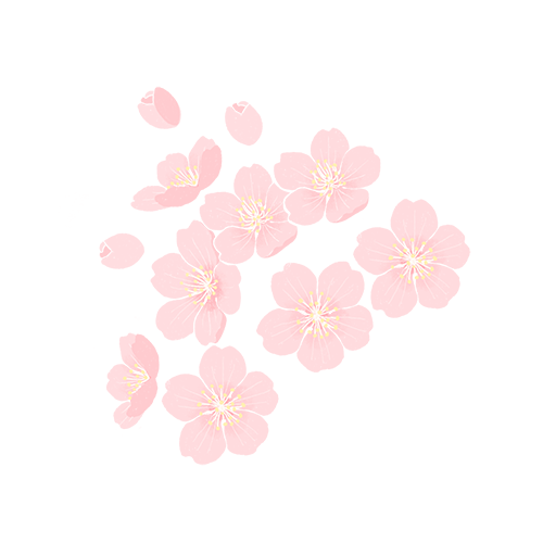 地铁直达！广州20000㎡醉蝶花海，美得好不真实！