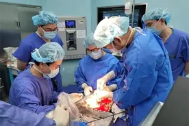 把肾取出来，切了肿瘤再植回体内！上海交通大学医学院附属仁济医院完成国内首例肾癌合并静脉癌栓“工作台”保肾手术图片