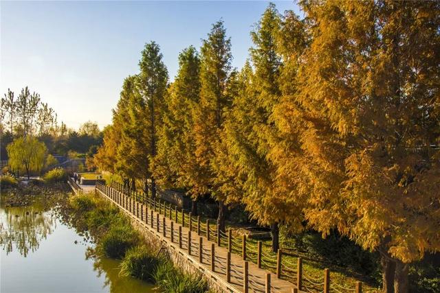 一键Get√氛围感！来这里，将海淀的秋收在镜头中——