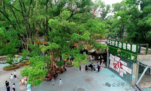 沅水号子 | 从“风景旅游”向“文化体验”升级 这本书讲述了什么？