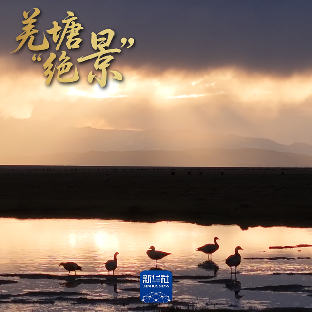 羌塘的美，你一定要体验一下！