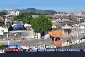 千百岁的古树年龄怎么测出来的？这些绿色“古董”认识一下图片